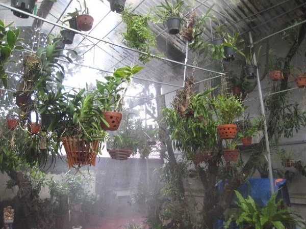 Lắp đặt hệ thống phun sương tưới lan tại Hồ Chí Minh
